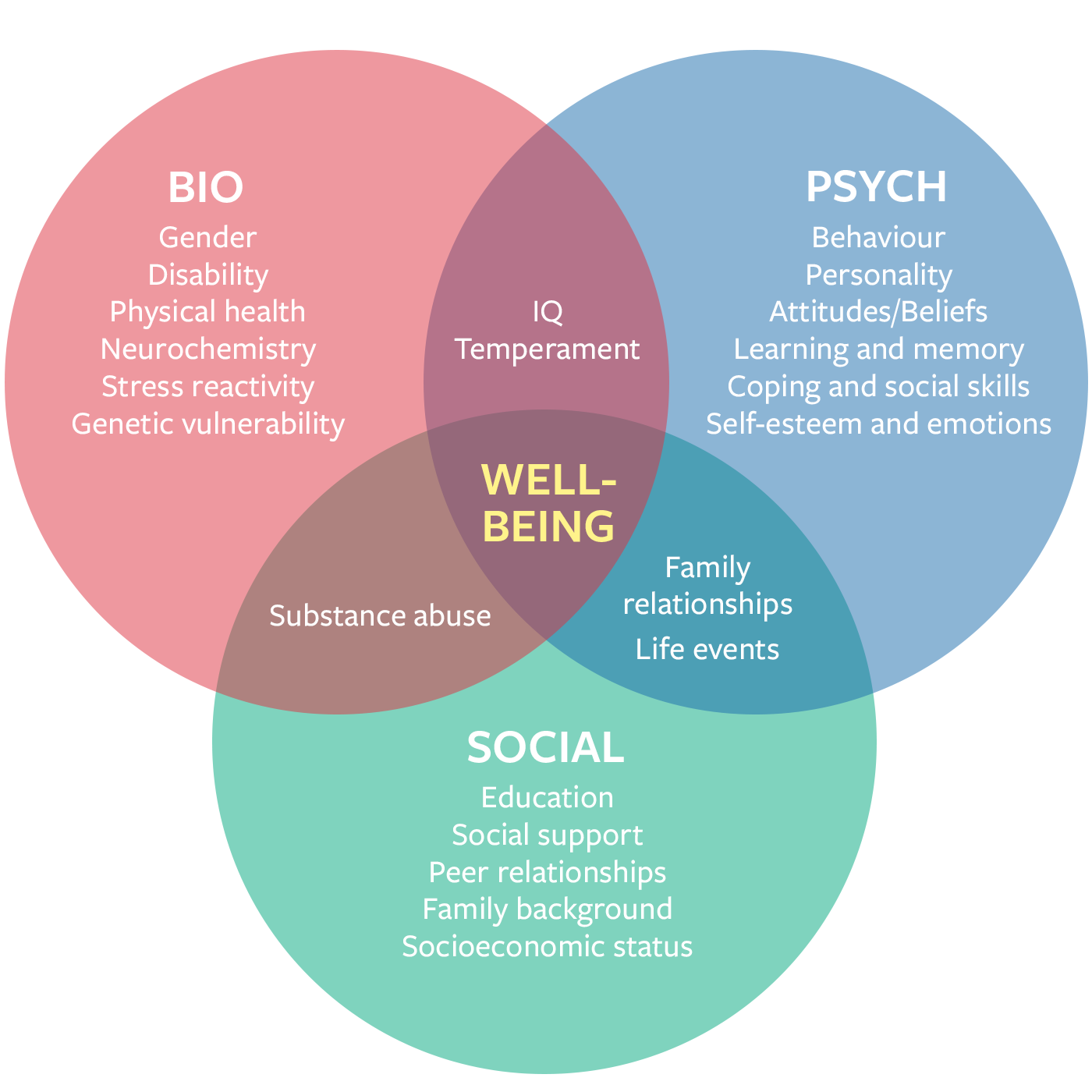 Biopsychosocial Model Perspective Examples What Is The | Sexiz Pix